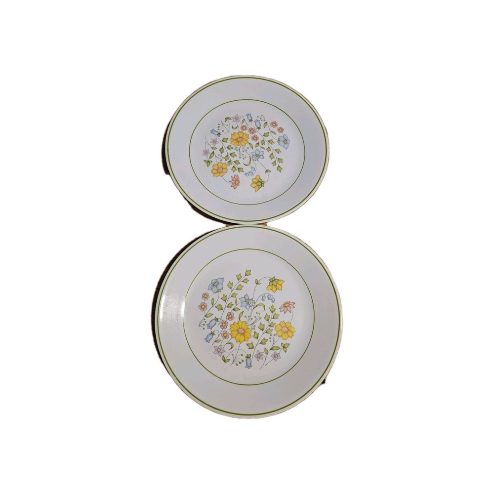 Vintage Corelle Spring Meadow Dinner Plates 2 (10) 1 Chip On Plate